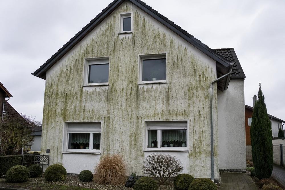Fassadenreinigung vorher