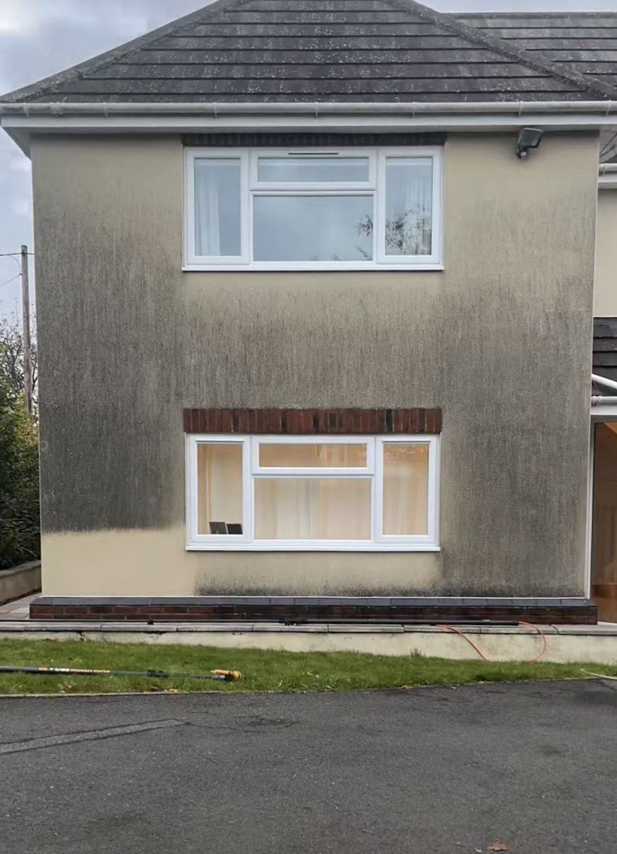Fassade stark verschmutzt vorher