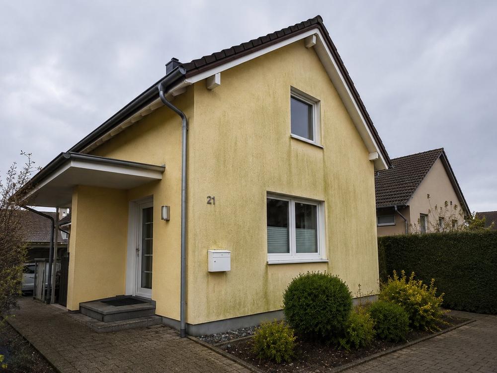 Fassade gelb Algen vorher